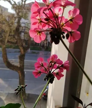 Cozy And Modern 2-bedroom * Bratislava